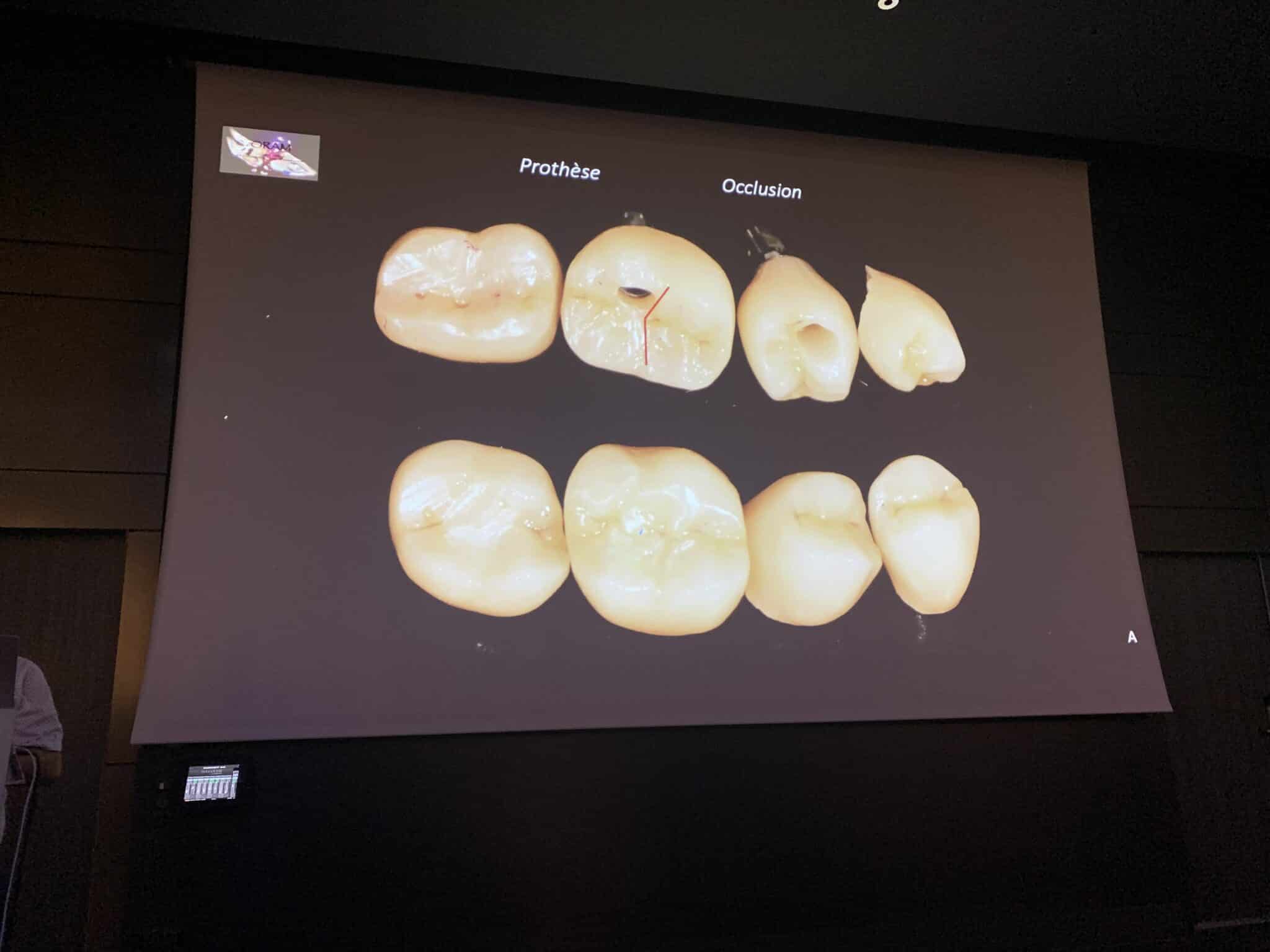 17qzMgL0Qcq95Uq5f84F9g