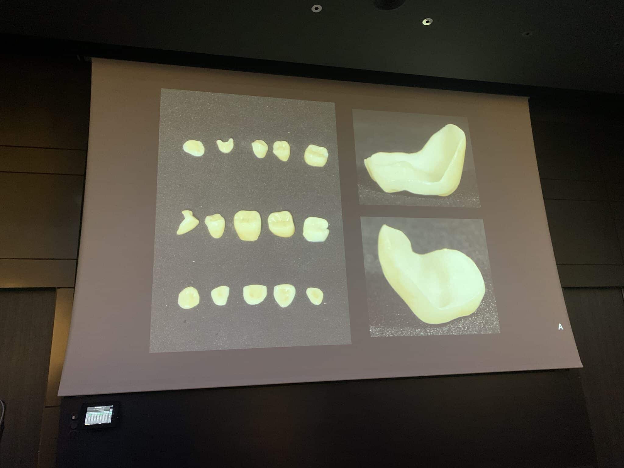 rGwJfvesSJyFs4h21M1n7A