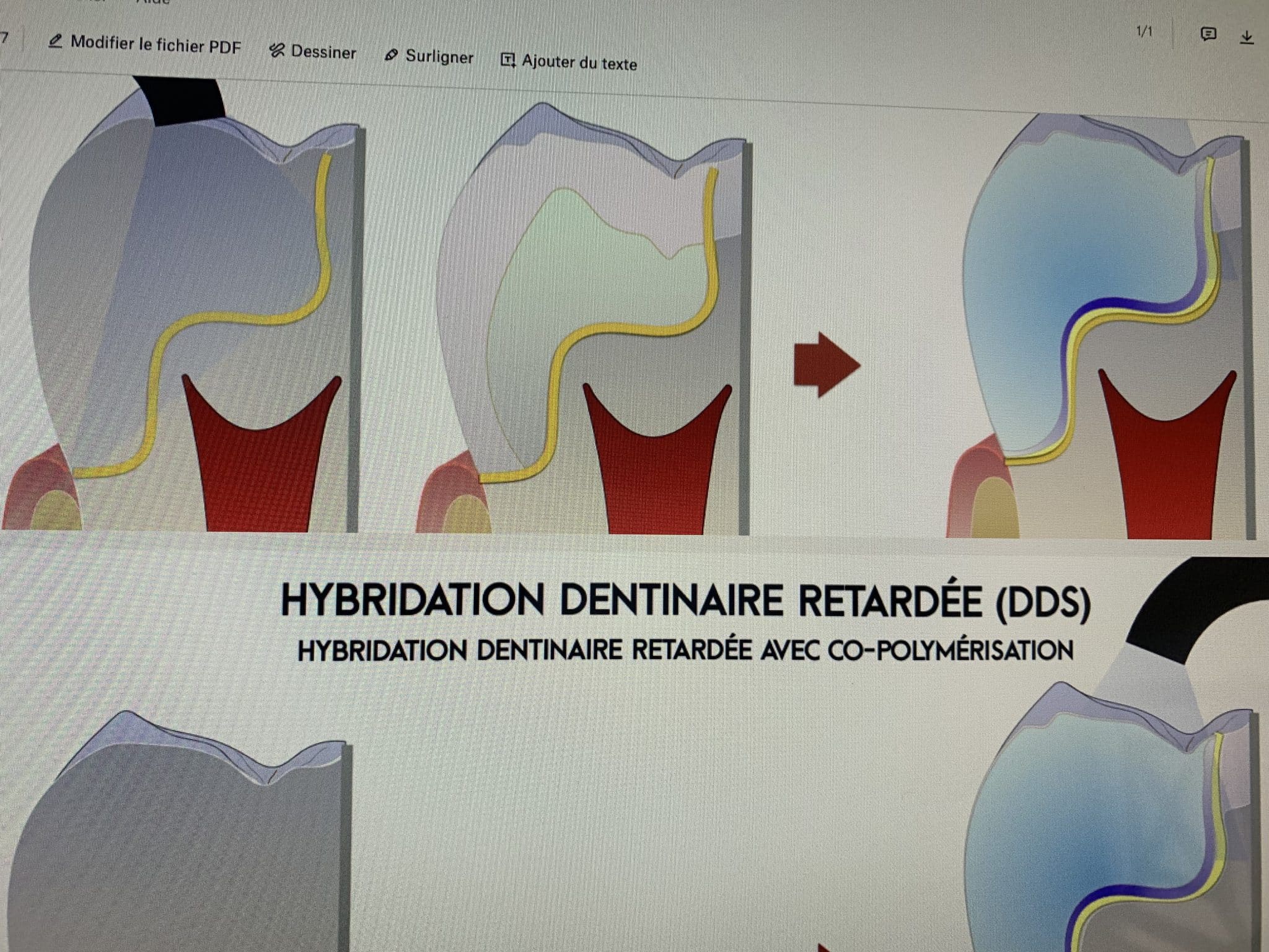 YsydW8oCTVWlMXqZMf8l3A